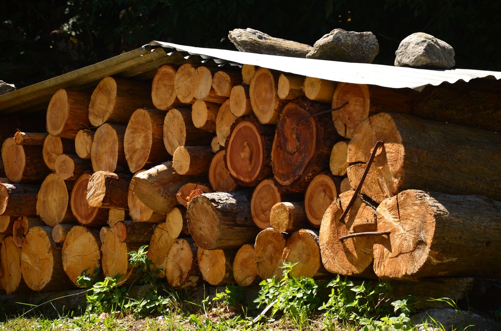 2015-07 Savoie/Modane/DSC_0095.JPG